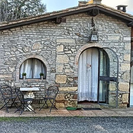 Il Rustico Villa Rosignano Marittimo Exterior foto